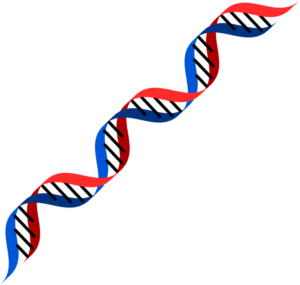 dna