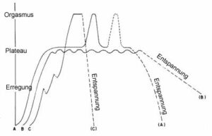 erregung und orgasmus